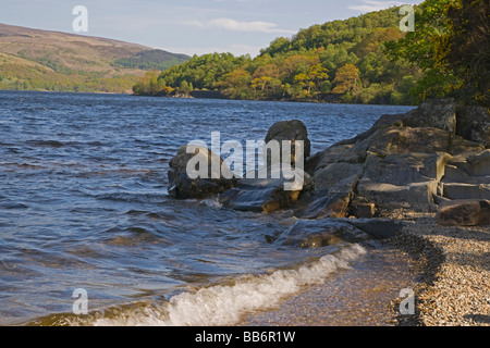 Colori di Primavera su Loch Lomond guardando a sud dal punto Firkin Scozia Maggio 2009 Foto Stock