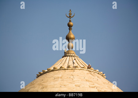 Vista ravvicinata di uomini mantenendo la cupola del Taj Mahal, Agra, Uttar Pradesh, India Foto Stock