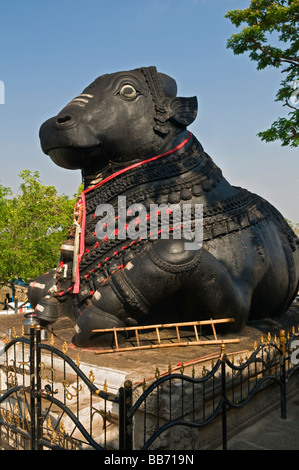 Nandi Santuario Chamundi Hill Mysore Karnataka India Foto Stock