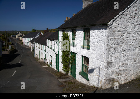 Imbiancati tradizionali case di pietra su una ripida strada nel villaggio di Glenoe nella contea di Antrim Irlanda del Nord Regno Unito Foto Stock
