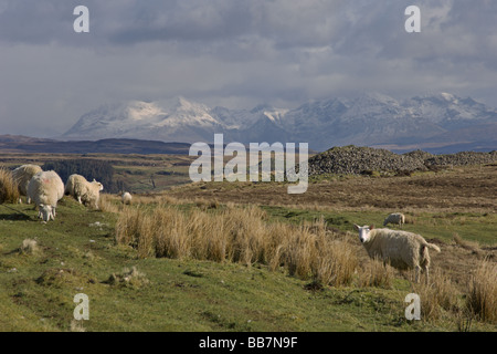 Guardando a sud verso le montagne Cuillin da vicino Bracadale Skye regione delle Highlands Scozzesi Aprile 2008 Foto Stock