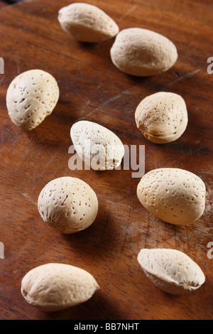 Badam shell o gusci di mandorla sono usati come ingrediente in cucina indiana Foto Stock