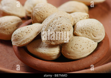 Badam shell o gusci di mandorla sono usati come ingrediente in cucina indiana Foto Stock