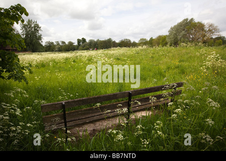 Inghilterra Berkshire Cookham Moor panchina del parco pubblico su uno spazio aperto Foto Stock