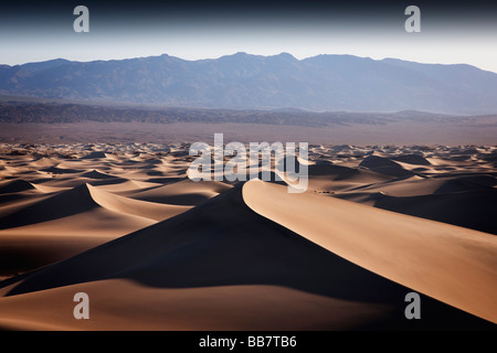 Il Mesquite dune di sabbia nel Parco Nazionale della Valle della Morte in California USA Foto Stock