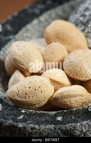 Badam shell o gusci di mandorla sono usati come ingrediente in cucina indiana Foto Stock