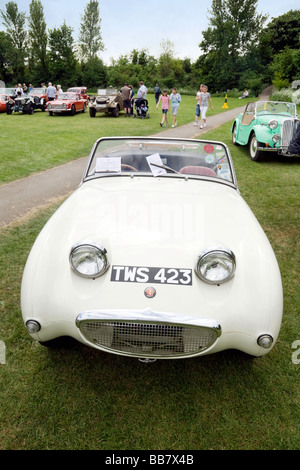 Austin Healey Sprite, noto anche come "frogeye' o 'bugeye", Wallingford classico auto da rally, Oxfordshire, Regno Unito Foto Stock