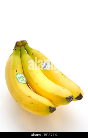 Banane biologiche con etichetta Foto Stock