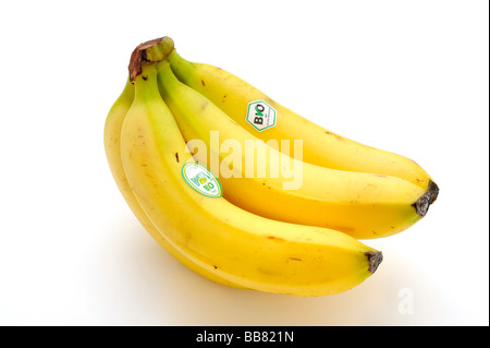 Banane biologiche con etichetta Foto Stock