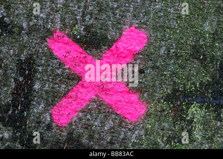 Mark su un albero Foto Stock