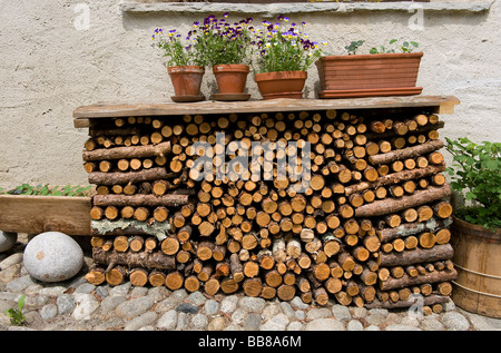 Legna da ardere fuori casa alpina nelle alpi svizzere, stampa regione, Svizzera Foto Stock