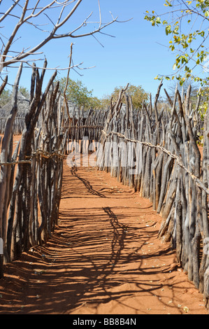 Recinzione in preda vicino agli edifici del popolo Ovambo in un museo all'aperto, Villaggio Culturale, Tsumeb, Namibia, Africa Foto Stock