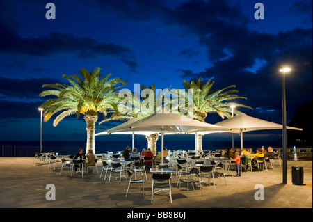 Terrazza ristorante con palme, Camara de Lobos, Madeira, Portogallo Foto Stock