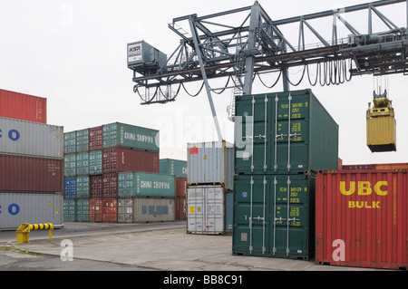 Bonn Terminal Container, gantry crane sollevamento di un contenitore, trattamento bimodale, Renania settentrionale-Vestfalia, Germania, Europa Foto Stock