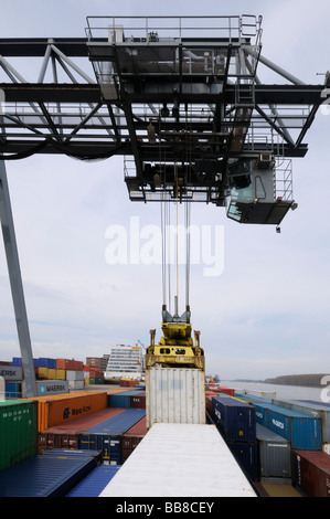 Porto di Bonn, gantry crane lasciando i contenitori verso il basso su una nave portacontainer, bimodale la movimentazione del contenitore, Renania settentrionale-Vestfalia, Foto Stock