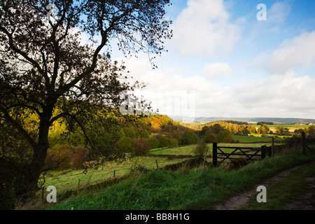 Vista su campagna aperta a Birchover nel Peak District nel Derbyshire Foto Stock