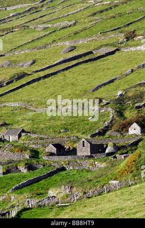 Penisola di Capo Slea, Dingle, Kerry, Irlanda Foto Stock