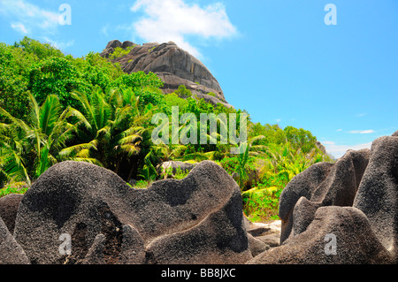 Rocce di granito e vegetazione di palme, La Digue, Seicelle Foto Stock