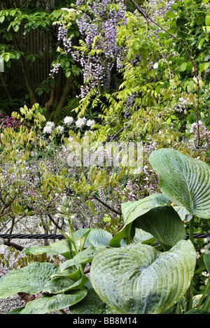 Gli echi del Giappone in un giardino inglese giardino display Chelsea 2009 designer Kay Yamada Foto Stock