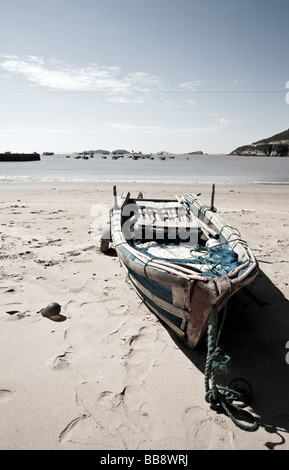 Cina, Zhoushan Prefettura, Shengsi isole, Sijiao Island, barche da pesca. Foto Stock