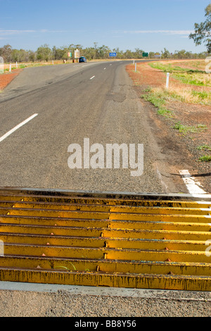 Una griglia di bestiame segna il confine del Nuovo Galles del Sud e Queensland, Australia Foto Stock