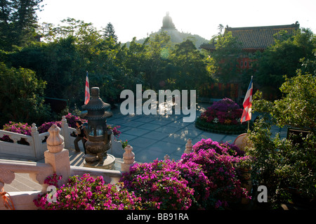 Asia cina hong kong Lantau Monastero Po Lin 2008 Foto Stock
