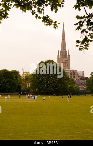 Partita di cricket di essere riprodotti sul kings school playing field nell'ombra di Norwich Cathedral Foto Stock