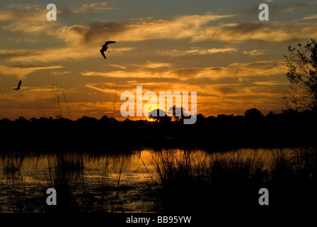 Set di sole oltre il fiume Okavango nel west Caprivi, Namibia. Foto Stock