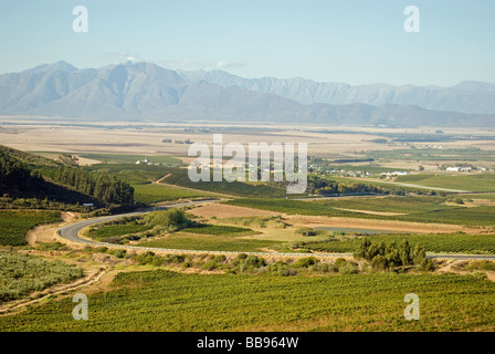 Riebeek Kasteel valley in Swartland, Western Cape, Sud Africa. La città ospita un annuale festival di oliva. Foto Stock