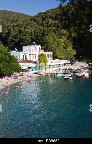 Agnontas bay e Stoney beach Skopelos Sporadi isola Grecia Foto Stock