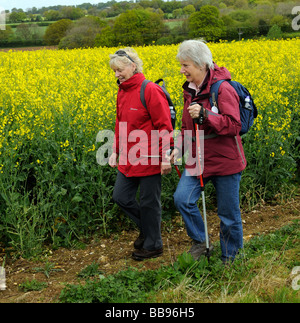 Camminatori femmina escursioni attraverso un campo di semi di colza di fioritura Foto Stock