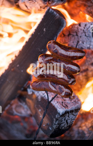 La tostatura hot dogs su un falò Foto Stock