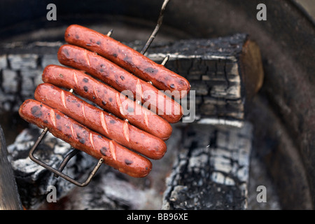 La tostatura hot dogs su un falò Foto Stock