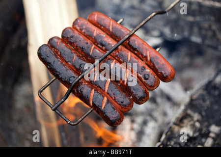 La tostatura hot dogs su un falò Foto Stock