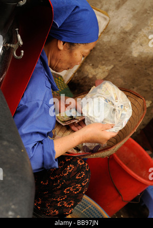 Signora vietnamita a contare i suoi soldi nel suo cappello tradizionale dopo aver finito la sua vendita di mattina il mercato dei prodotti freschi, il vecchio quartiere di Hanoi. Foto Stock