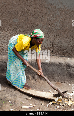 Una donna di trinciatura di legna da ardere nel villaggio di Nyombe, Malawi, Africa Foto Stock