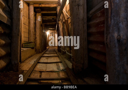 Il tunnel in Galleria Museo è anche noto come il Tunel spasa costruita nel 1993 durante l'assedio di Sarajevo nel bel mezzo della guerra bosniaca Foto Stock