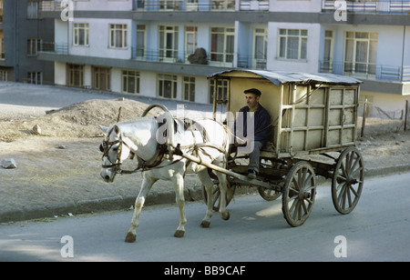 Cavallo e il carrello vicino al Küçük Esat Pazar Ankara Turchia 680512 200 Foto Stock