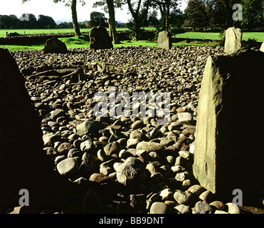 Templewood cerchio di pietra e il CIST Kilmartin Argyll and Bute Strathclyde in Scozia Foto Stock