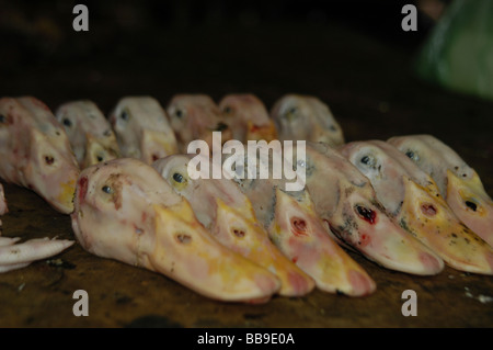 Recisi anatre testine a Wan mercato Xian, precedentemente parte del Sichuan in Cina Foto Stock