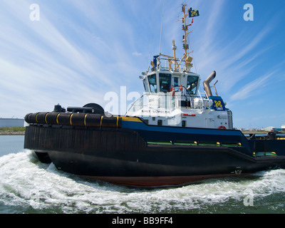 Smit Schelde rimorchiatore in azione da molto vicino porto di Rotterdam Paesi Bassi Foto Stock