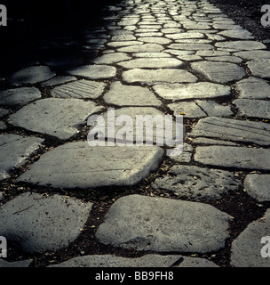 Originale pavimentazione in pietra della strada romana via appia antica vicino alla città di Roma la regione del lazio italia Foto Stock