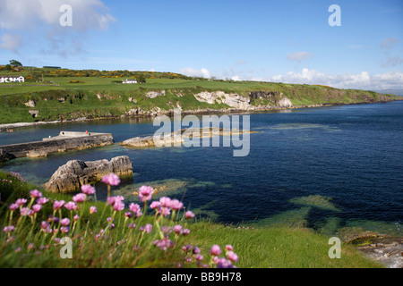 Portmuck harbour islandmagee County Antrim Irlanda del Nord Regno Unito Foto Stock