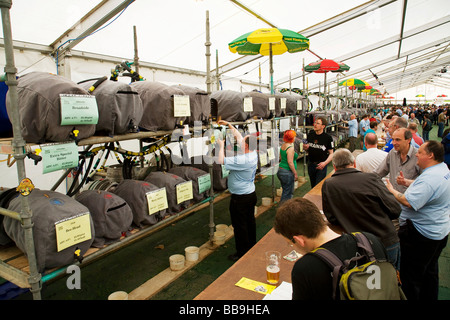 Camra Cambridge festa della birra Foto Stock