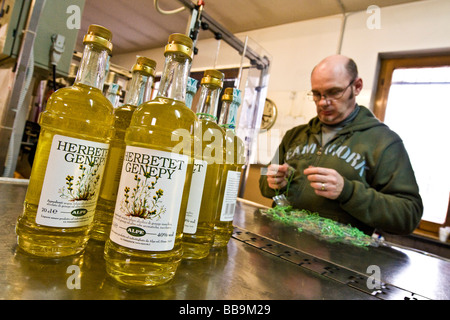 Alpe Distilleria Produzione di genepy Hone Aosta Italia Foto Stock