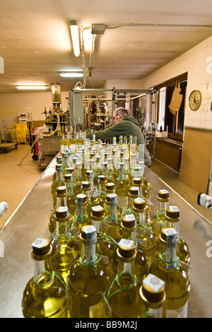 Alpe Distilleria Produzione di genepy Hone Aosta Italia Foto Stock