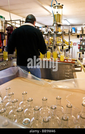 Alpe Distilleria Produzione di genepy Hone Aosta Italia Foto Stock