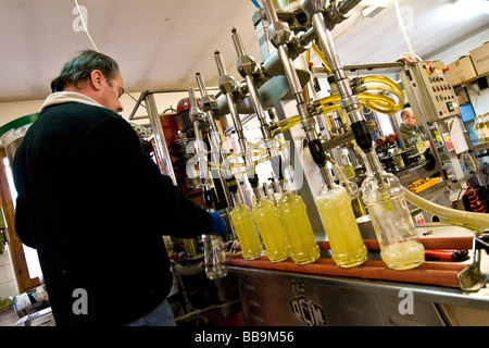 Alpe Distilleria Produzione di genepy Hone Aosta Italia Foto Stock