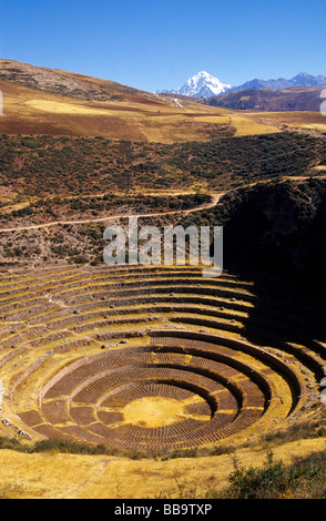 Periodo Inca terrazzamenti concentrici di Moray Valle di Urubamba Perù Foto Stock