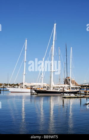 Barche a vela al dock in 'Newport Harbor' 'Rhode Island " STATI UNITI D'AMERICA Foto Stock